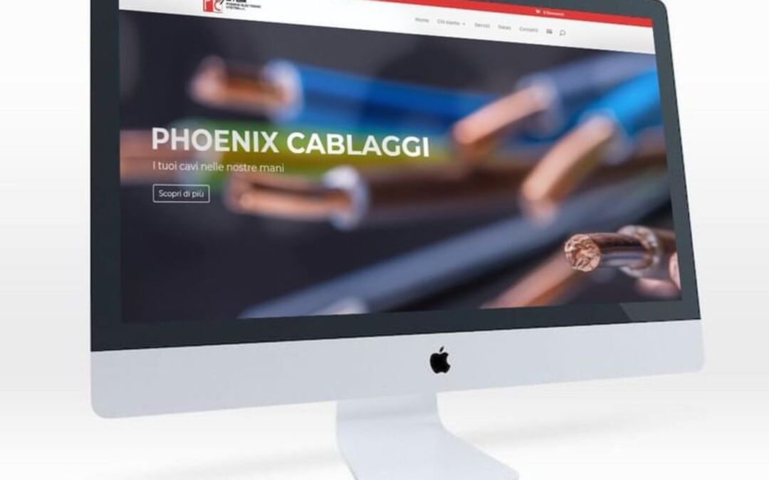 Phoenix Electronic System