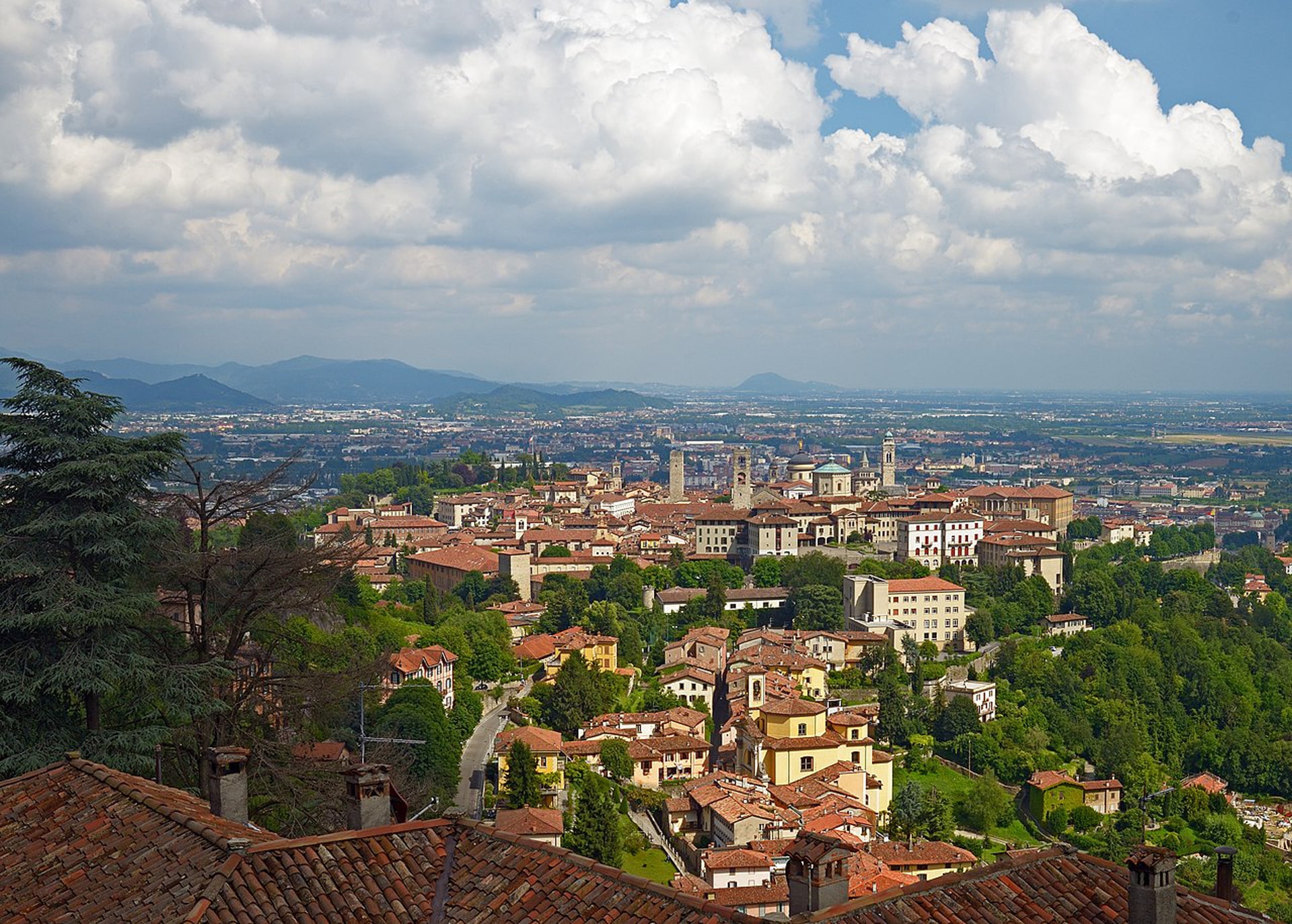 Grafica a Bergamo